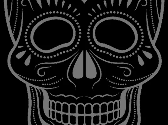 Amigos